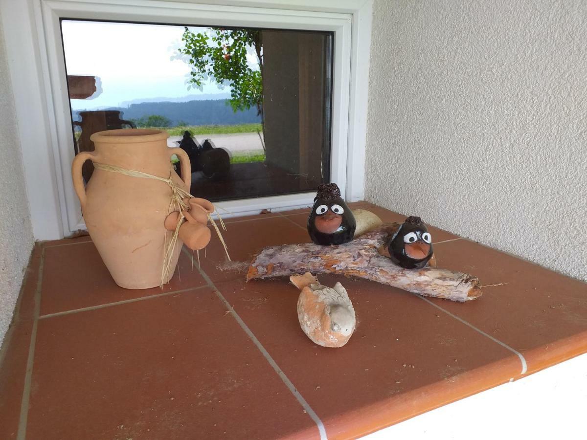 Diex Urlaub Im Blockhausヴィラ エクステリア 写真